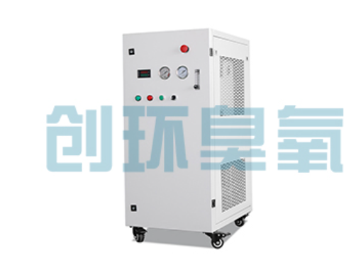 吉安石斑鱼养殖水质调控完整指南:臭氧发生器配置与操作步骤