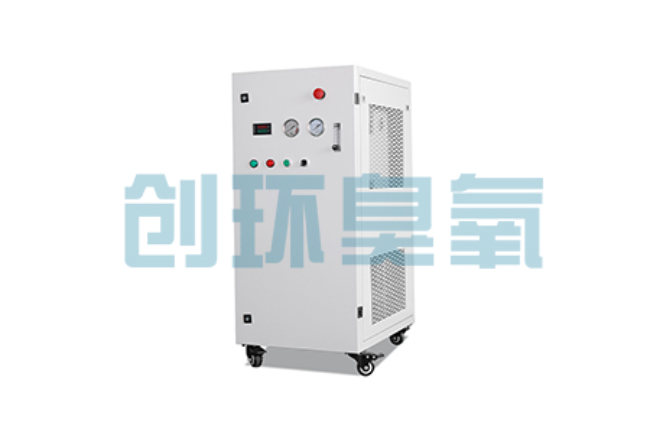 吉安比传统换水更高效?臭氧发生器在石斑鱼养殖中的水质净化原理解析