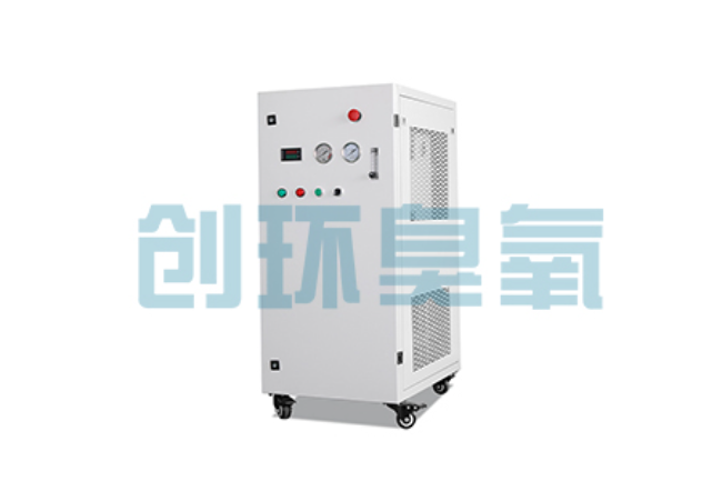 吉安比传统换水更高效？臭氧发生器在石斑鱼养殖中的水质净化原理解析